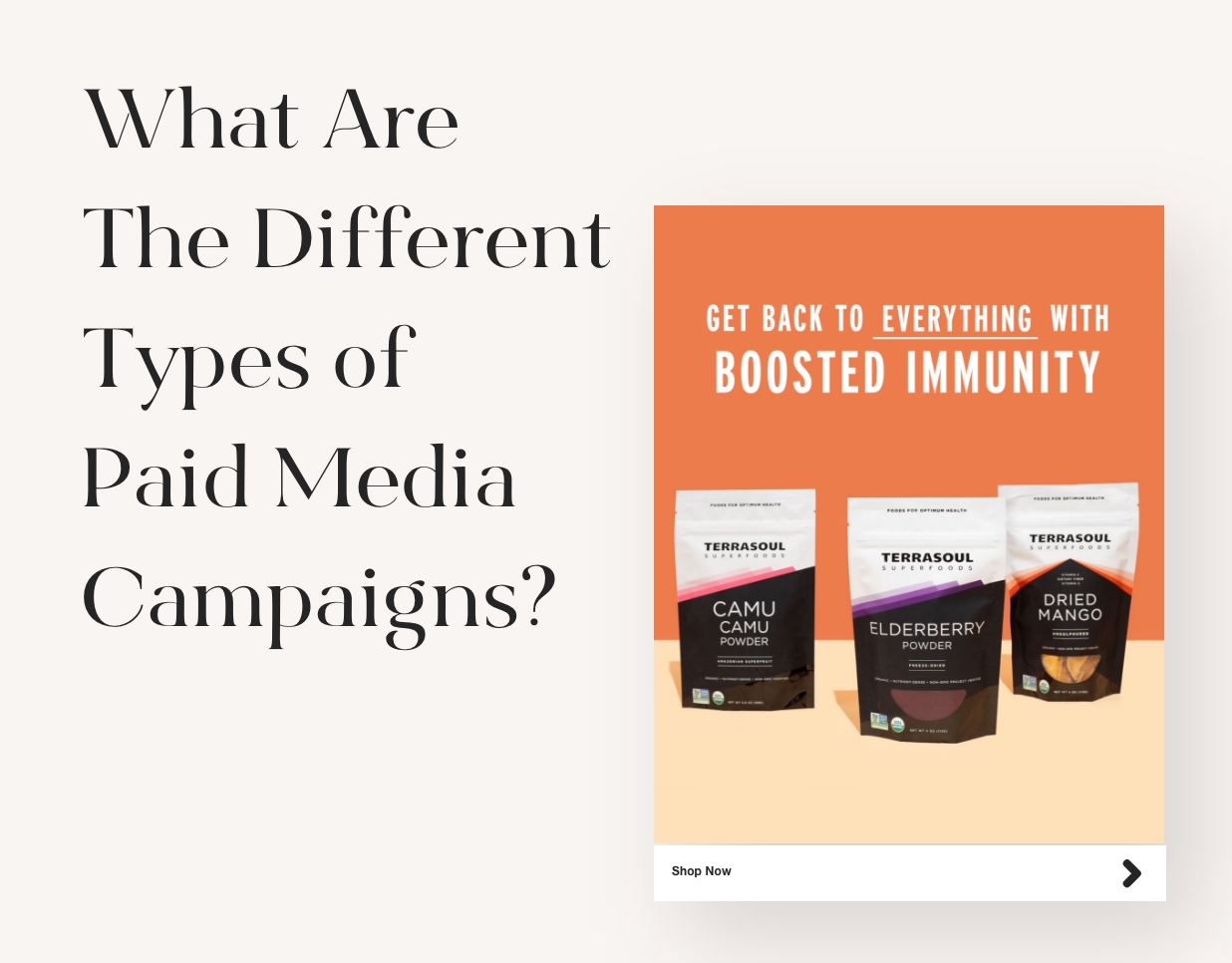 Types of Paid Media Campaigns preview image