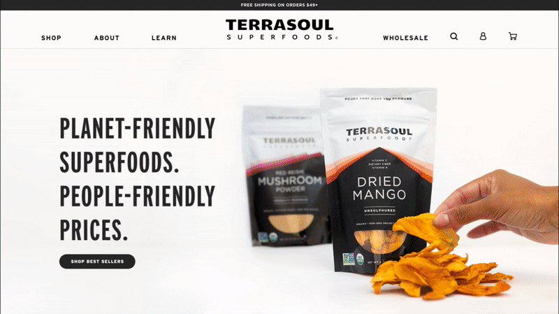 Terrasoul Website Design - Desktop Version - BuzzShift